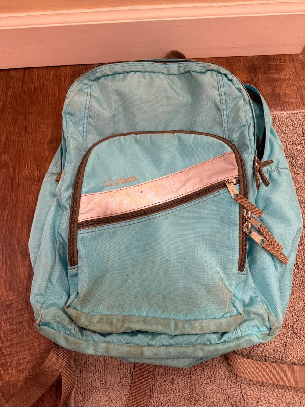 L.L. Bean lightweight pack